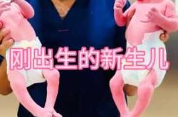 刚出生的新生儿图片啥样