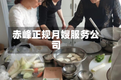 赤峰正规月嫂服务公司