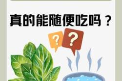 月子期间能吃菠菜吗