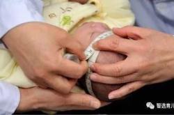 8个月婴儿头围多少正常