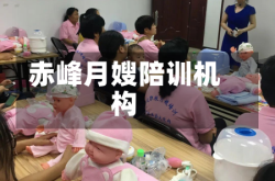 赤峰月嫂陪训机构