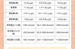 孕反开始和HCG有关吗