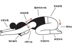 产后如何做盆骨收缩瑜伽动作