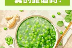 备孕期间能不能喝绿豆茶