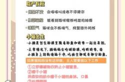 猫咪孕反视频有吗