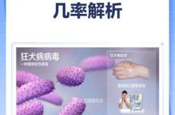 狂犬病猫能怀孕吗