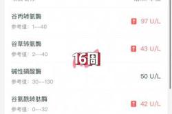 备孕男生需停用恩替卡韦吗