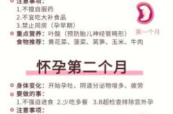 每月胎教计划该如何制定呢