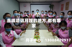 赤峰培训月嫂的地方,都有哪家
