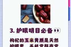 备孕可以喝桑葚枸杞水吗