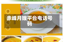 赤峰月嫂平台电话号码