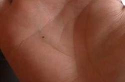 备孕梦见带鱼是什么征兆