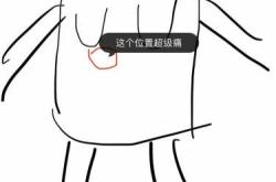 孕13周孕反未止啥原因