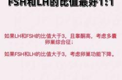 催乳素数值高备孕怎样调理