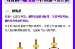 月经短会影响备孕吗