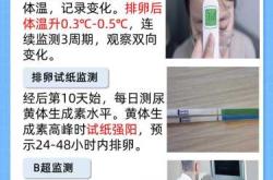 备孕如何监测排卵期