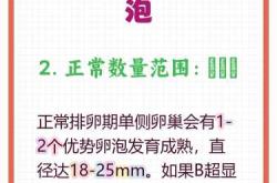 备孕需要查卵泡发育吗