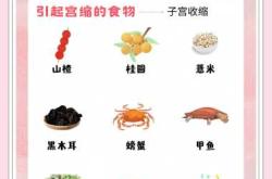 快速备孕该吃什么食物