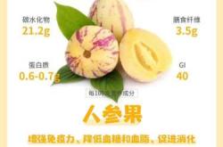 备孕吃西藏人生果好吗