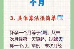 怀孕几周可正常同房