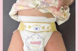 熊猫呼呼纸尿裤nb咋样