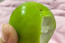 孕反消失后头疼正常吗