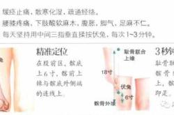 哪些穴位能抑制孕反