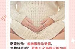 孕10周还会有孕反吗