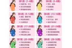 孕反为什么总在下午呢