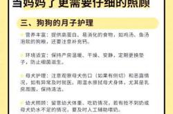 想给狗狗备孕怎么准备