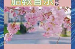 20周适合听什么胎教音乐