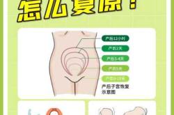 产后子宫按摩手法怎么做