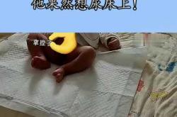 新生儿不排尿是怎么回事