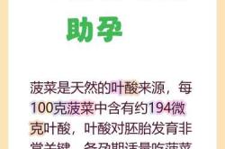 备孕为何要多吃蔬菜