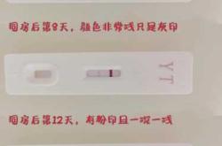 五天能验出怀孕吗