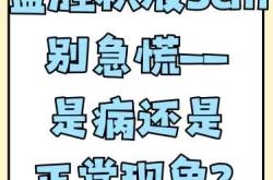 产后盆腔有少量积液正常吗