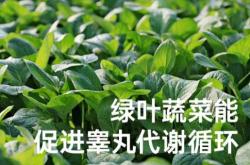 男人备孕喝什么水好些