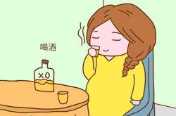 女性备孕前可以喝白酒吗