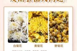怀孕能喝菊花茶吗