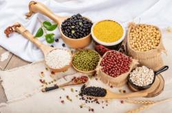 金纽尔停用多久可备孕