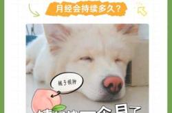 狗狗需要坐月子吗