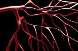 为何会出现虐待婴儿行为