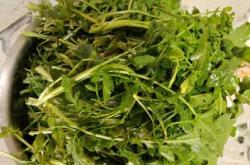 坐月子能吃荠菜吗