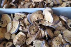 月子病能治好并断根吗