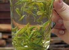 孕反可以喝茶叶吗