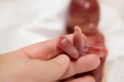 婴儿日记1有什么有趣内容