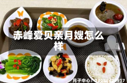 赤峰爱贝亲月嫂怎么样