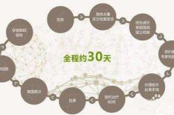 做试管婴儿大概需要多少钱