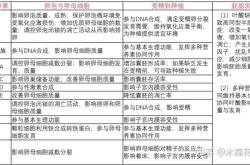 怎么做试管婴儿