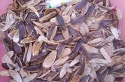 备孕女梦见吃生瓜子啥意思